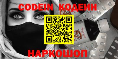 мдпв Кингисепп