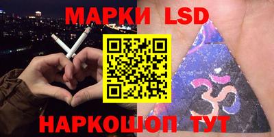 мдпв Кингисепп