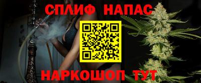 дмт Кинель