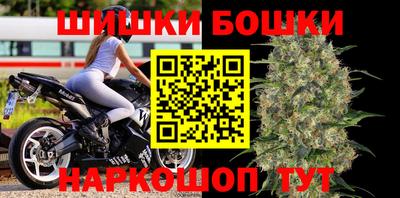 мдпв Кингисепп