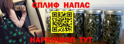 дмт Кинель