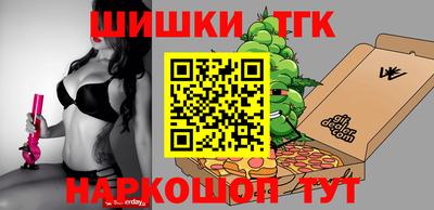 мдпв Кингисепп