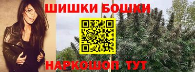 мдпв Кингисепп