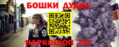 мдпв Кингисепп