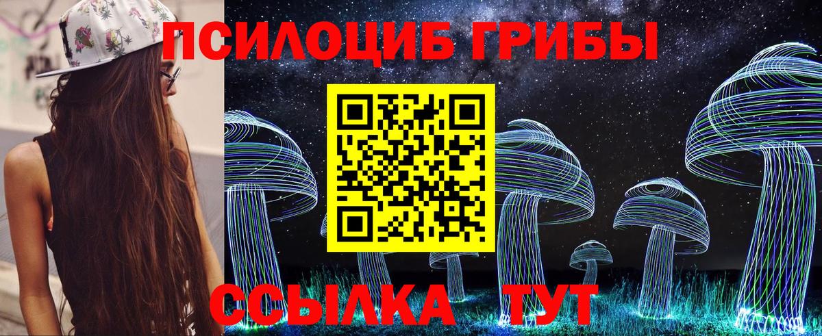 Псилоцибиновые грибы Psilocybine cubensis  Вход с VPN  Конаково 