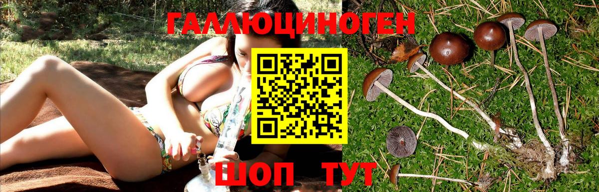 Галлюциногенные грибы Cubensis Конаково